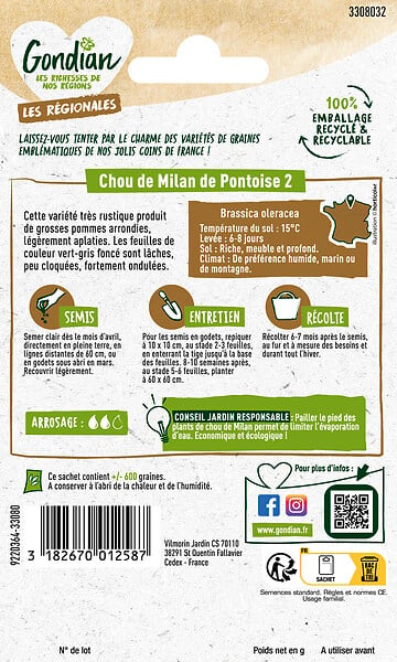 GONDIAN - Chou de Milan de Pontoise 2 Gondian - large