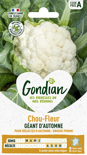 GONDIAN - Chou-fleur Géant d'Automne - Graines potagères - Sachet - large