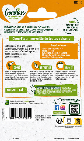 GONDIAN - Chou-fleur Merveille des 4 Saisons - Graines potagères - Semi-précoce - large