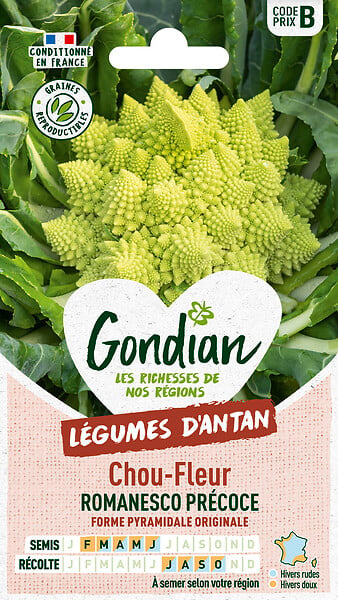 GONDIAN - Chou-fleur Romanesco Natalino - Vert - Sachet de graines - large