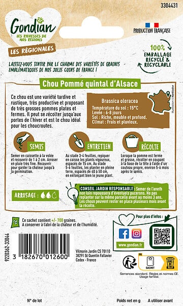 GONDIAN - Chou pommé Quintal d'Alsace - variété tardive et rustique - large