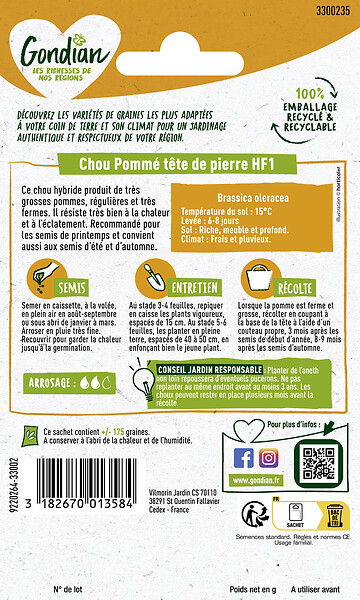 GONDIAN - Chou Pommé Tête de Pierre HF1 Gondian - large