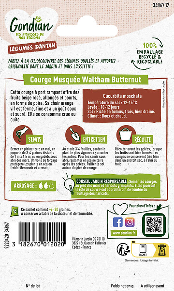 GONDIAN - Courge Musquée Waltham Butternut - Sachet de semences - large