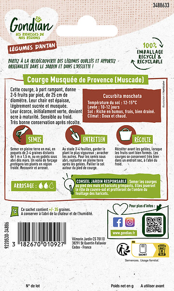GONDIAN - Graines courge musquée Muscade d'Hiver - Gondian - large