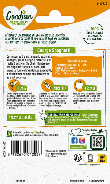 GONDIAN - Courge Végétable Spaghetti Gondian - large