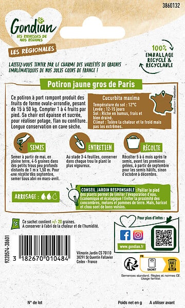 GONDIAN - Graines de Potiron Jaune Gros de Paris - 0.5 kg - large