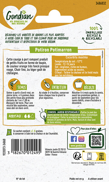 GONDIAN - Graines de potiron Potimarron Gondian - Orange foncé - large