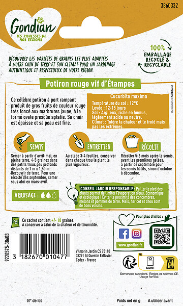 GONDIAN - Potiron Rouge Vif d'Etampes - Graines - Chair épaisse - large