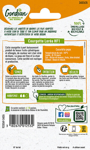 GONDIAN - Courgette Loréa HF1 Gondian - large