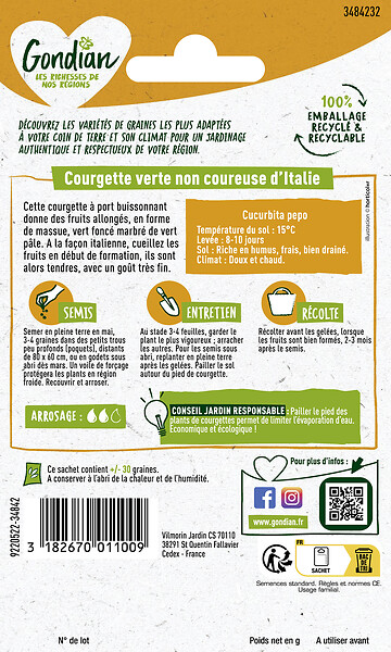 GONDIAN - Courgette - Verte Non Coureuse d'Italie - Port buissonnant - large