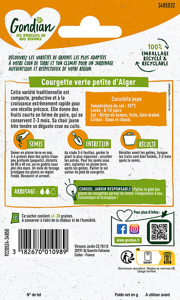 GONDIAN - Courgette Verte Petite d'Alger Gondian - large