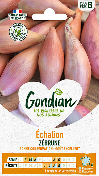 GONDIAN - Echalion Zébrune Gondian - large
