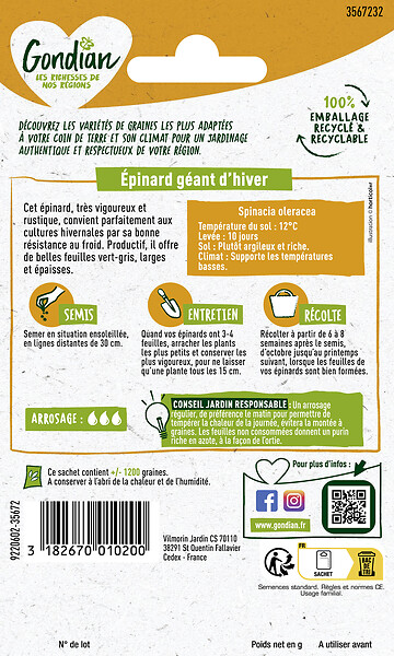 GONDIAN - Epinard Géant d'Hiver - Graines potagères - Variété rustique - large
