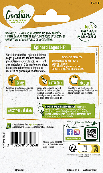 GONDIAN - Épinard Lagos - Hybride F1 - Variété printanière - large