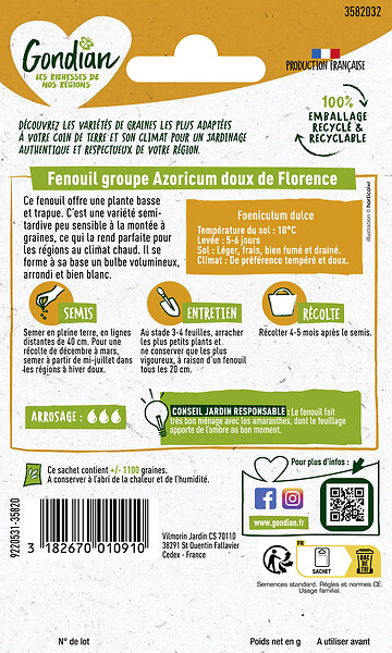 GONDIAN - Fenouil groupe azoricum Doux de Florence Gondian - large
