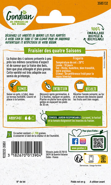 GONDIAN - Fraisier des 4 Saisons Gondian - large
