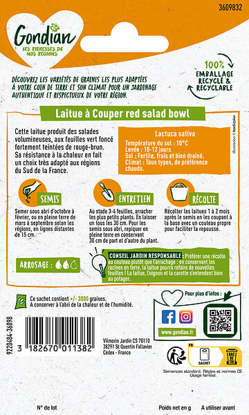 GONDIAN - Laitue à couper - Salad Bowl Rouge - Résistante chaleur - large