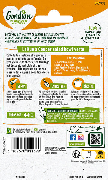 GONDIAN - Laitue Feuille de Chêne Salad Bowl Verte - 2500 graines - large