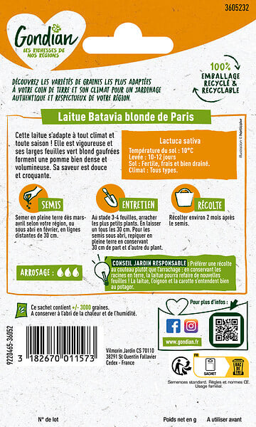 GONDIAN - Laitue Blonde de Paris - large