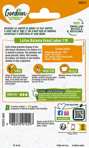 GONDIAN - Graines de laitue pommée Great Lakes 118 - 2.5 g - large