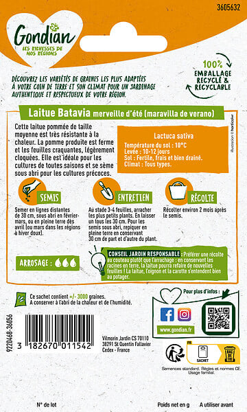GONDIAN - Laitue Maravilla de Verano Gondian - large