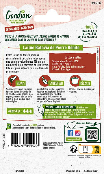 GONDIAN - Laitue Batavia Pierre Bénite - Pleine terre - Graines 0,5 kg - large