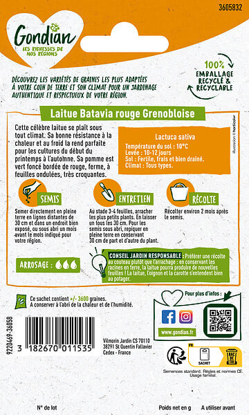 GONDIAN - Graines Laitue Rouge Grenobloise - Pomme ferme - Croquante - large