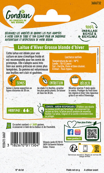 GONDIAN - Laitue Grosse Blonde d'Hiver - Salade potagère - Printemps - large