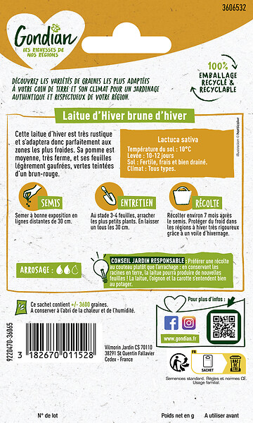 GONDIAN - Laitue Brune d'Hiver Gondian - large