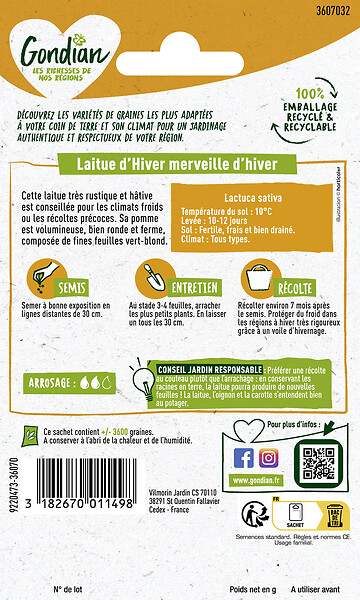 GONDIAN - Laitue Merveille d'Hiver Gondian - large