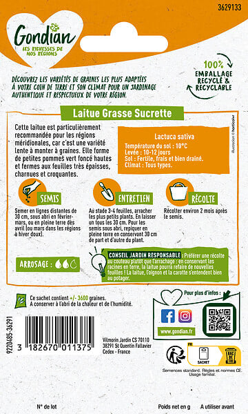 GONDIAN - Laitue Sucrine Gondian - large