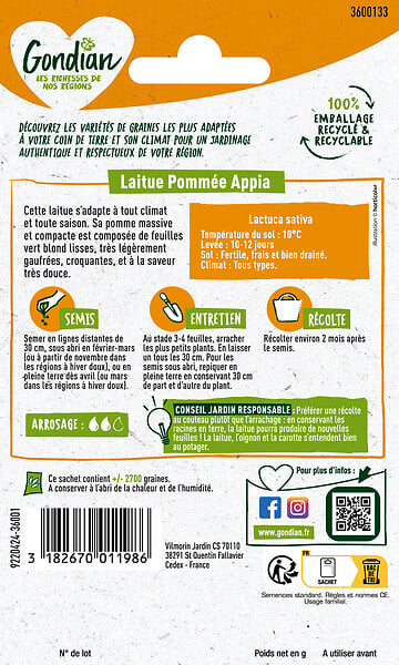 GONDIAN - Laitue Appia Gondian - large