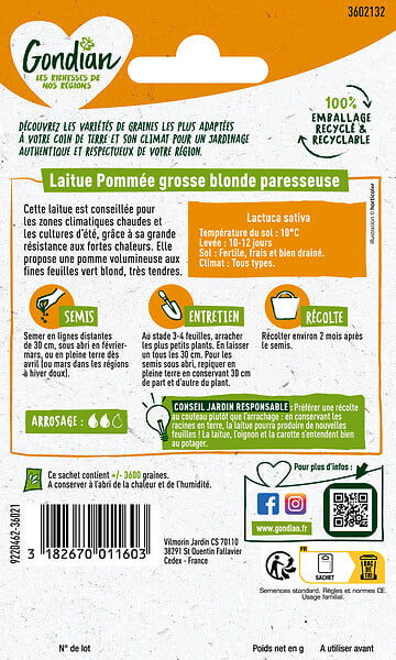 GONDIAN - Graines de Laitue Grosse Blonde Paresseuse - 300 graines - large