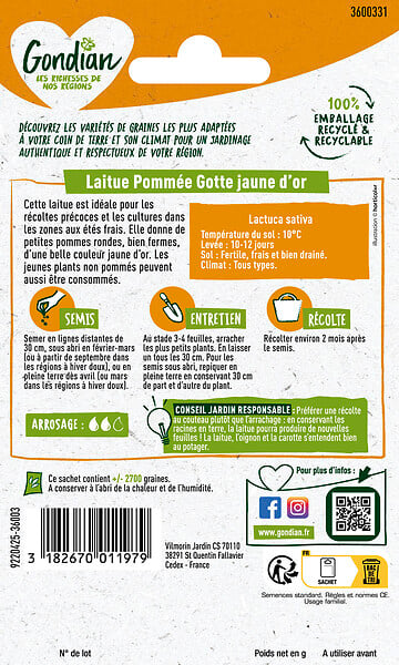 GONDIAN - Graines de laitue - Gotte Jaune d'Or - 3 g - large