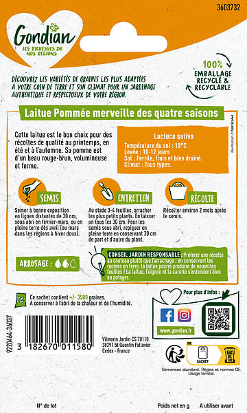 GONDIAN - Laitue pommée Merveille des Quatre Saisons - 4 g - large