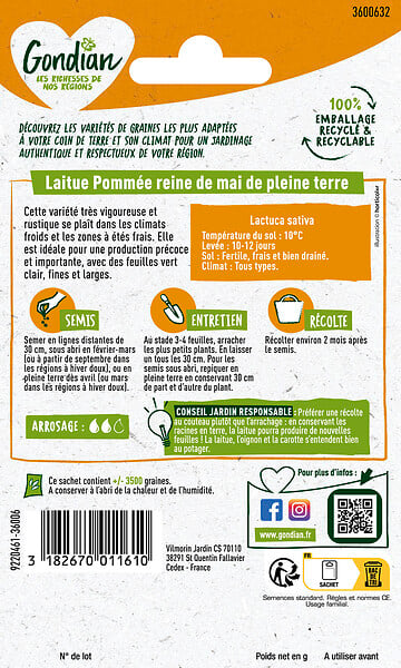 GONDIAN - Graine de laitue pommée Reine de Mai - 4 g - large