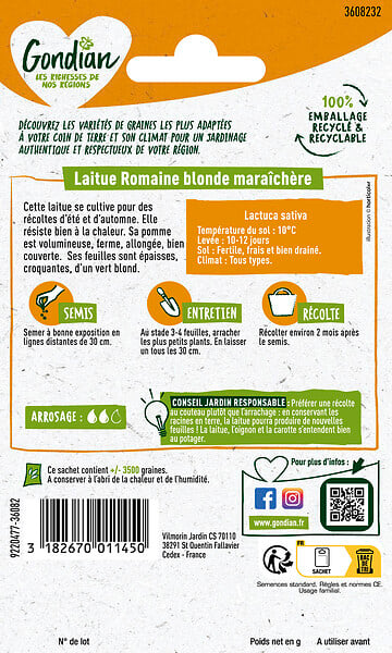 GONDIAN - Laitue Blonde Maraîchère Gondian - sachet de graines - large
