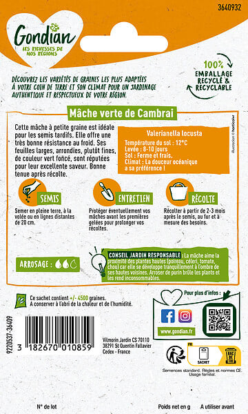 GONDIAN - Mâche Verte de Cambrai - Graines - 5g - large