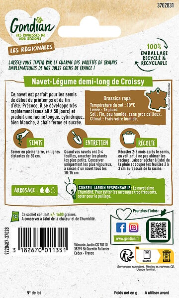 GONDIAN - Navet Demi-long de Croissy - semences - Précoce 40-50j - large