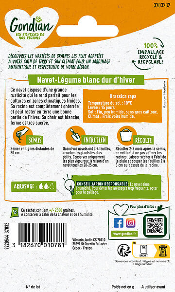 GONDIAN - Navet - Blanc Dur d'Hiver - Sachet de graines - large