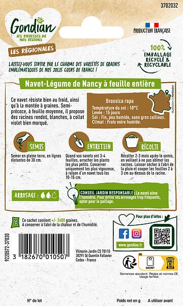 GONDIAN - Navet-Légume de Nancy à Feuille Entière Gondian - large