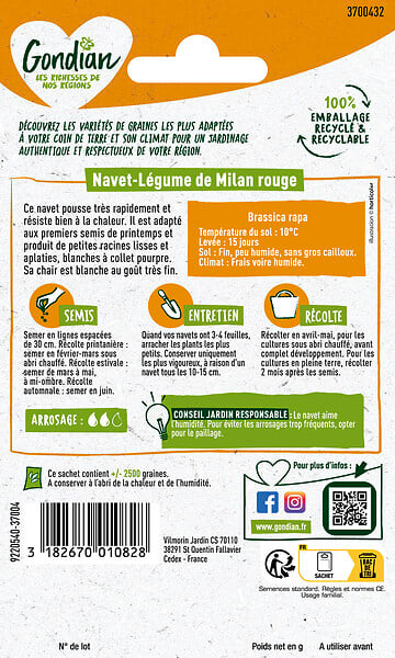 GONDIAN - Graines de navet Milan Rouge Extra-Hâtif - Variété hâtive - large