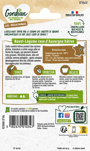 GONDIAN - Navet - Rave d'Auvergne Hâtive Gondian - Graines potagères - large
