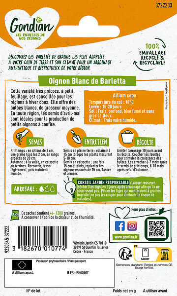GONDIAN - Oignon à confire Extra-Hâtif de Barletta - Variété précoce - large