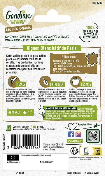 GONDIAN - Oignon Hâtif de Paris - bulbe plat - résistant au froid - large