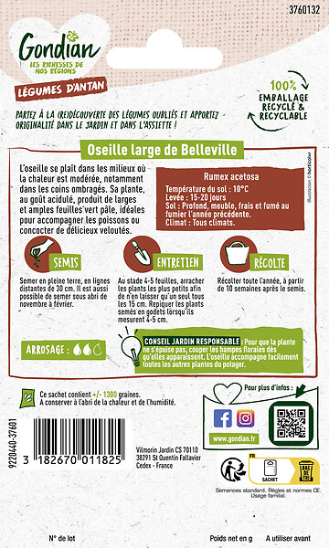 GONDIAN - Oseille Large de Belleville Gondian - large