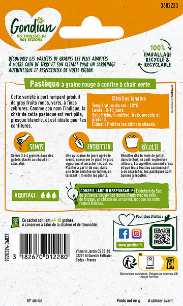 GONDIAN - Pastèque à confire à chair verte - Gondian - Gros fruits - large