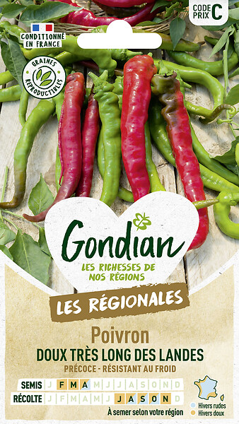 GONDIAN - Graines de piment doux Très Long des Landes - Hâtive - large
