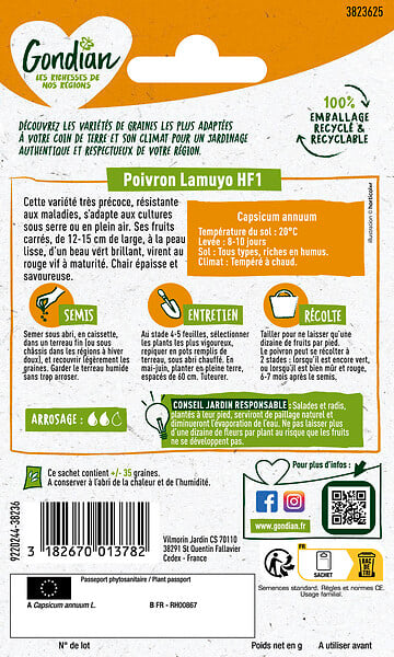 GONDIAN - Piment Lamuyo HF1 Gondian - large