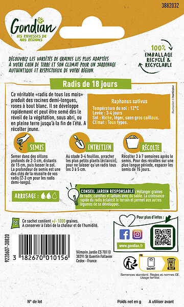 GONDIAN - Semence de radis - Radis de 18 Jours - Précoce - large